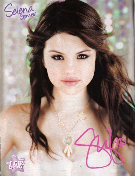 sel8.jpg